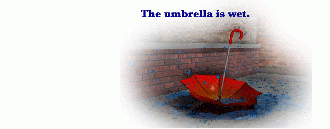 The Umbrella is Wet.